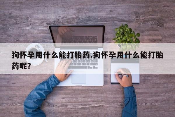 在哪里买流产药包邮狗怀孕用什么能打胎药.狗怀孕用什么能打胎药呢？