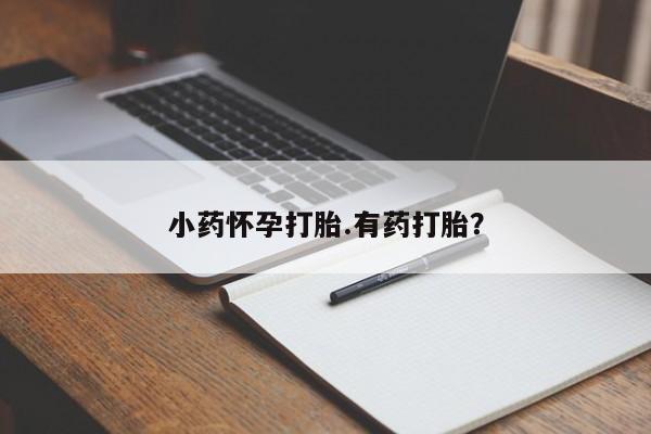 在哪里买流产药包邮小药怀孕打胎.有药打胎？