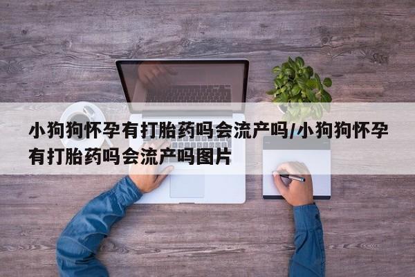 在哪里买流产药包邮小狗狗怀孕有打胎药吗会流产吗/小狗狗怀孕有打胎药吗会流产吗图片