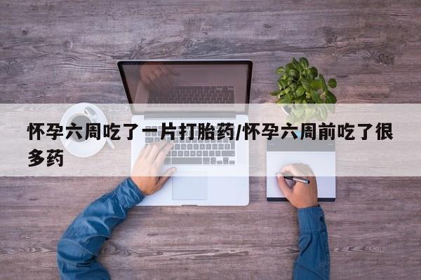 在哪里买流产药包邮怀孕六周吃了一片打胎药/怀孕六周前吃了很多药