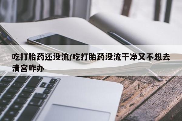 在哪里买流产药包邮吃打胎药还没流/吃打胎药没流干净又不想去清宫咋办