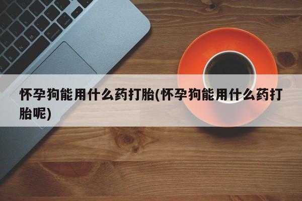 在哪里买流产药包邮怀孕狗能用什么药打胎(怀孕狗能用什么药打胎呢)